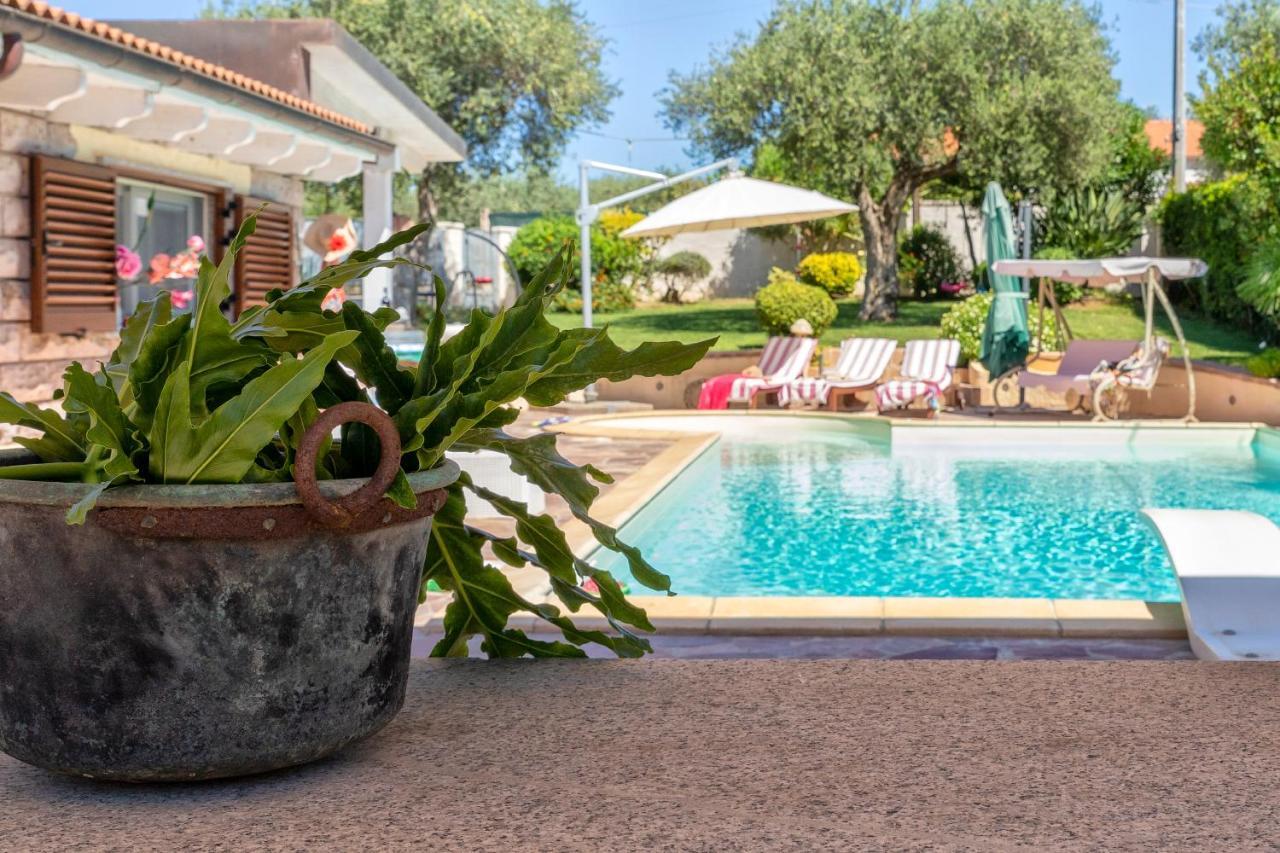 Villa Sunflower אלגהרו מראה חיצוני תמונה